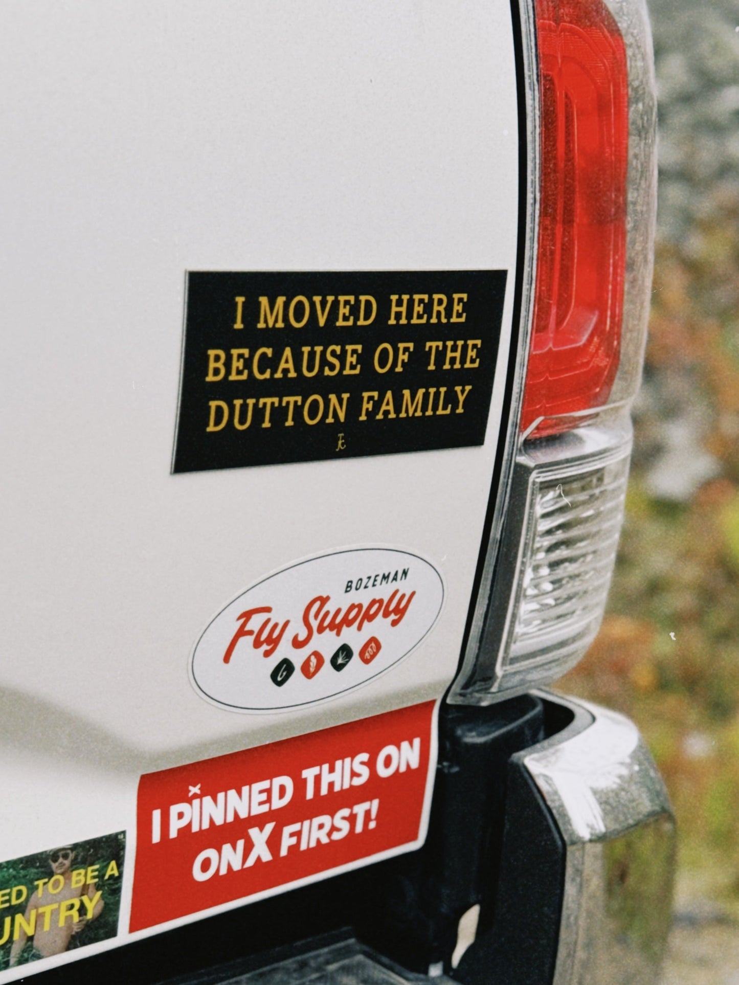 Back of a car with various bumper stickers on a natural background