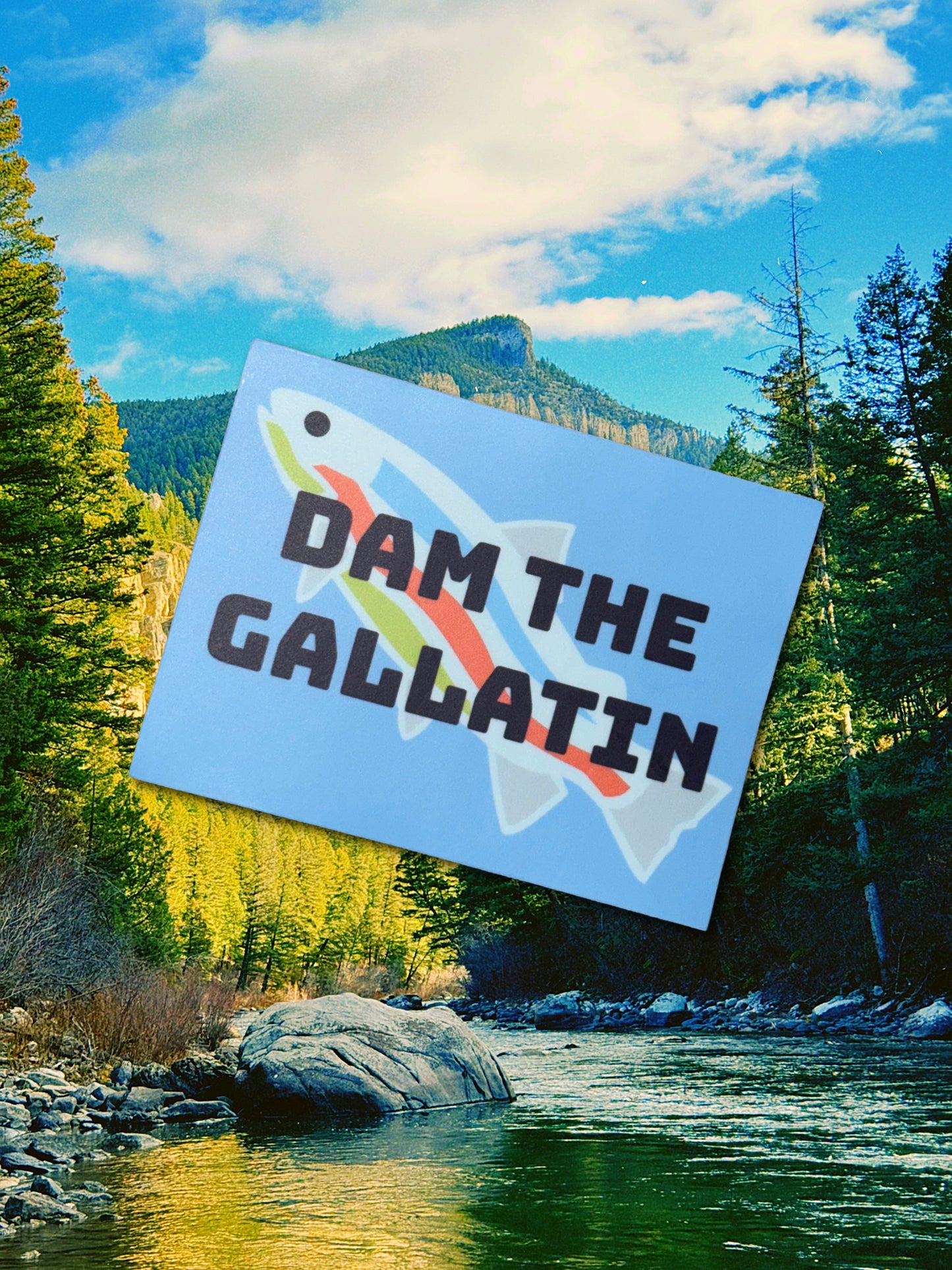 DAM THE GALLATIN