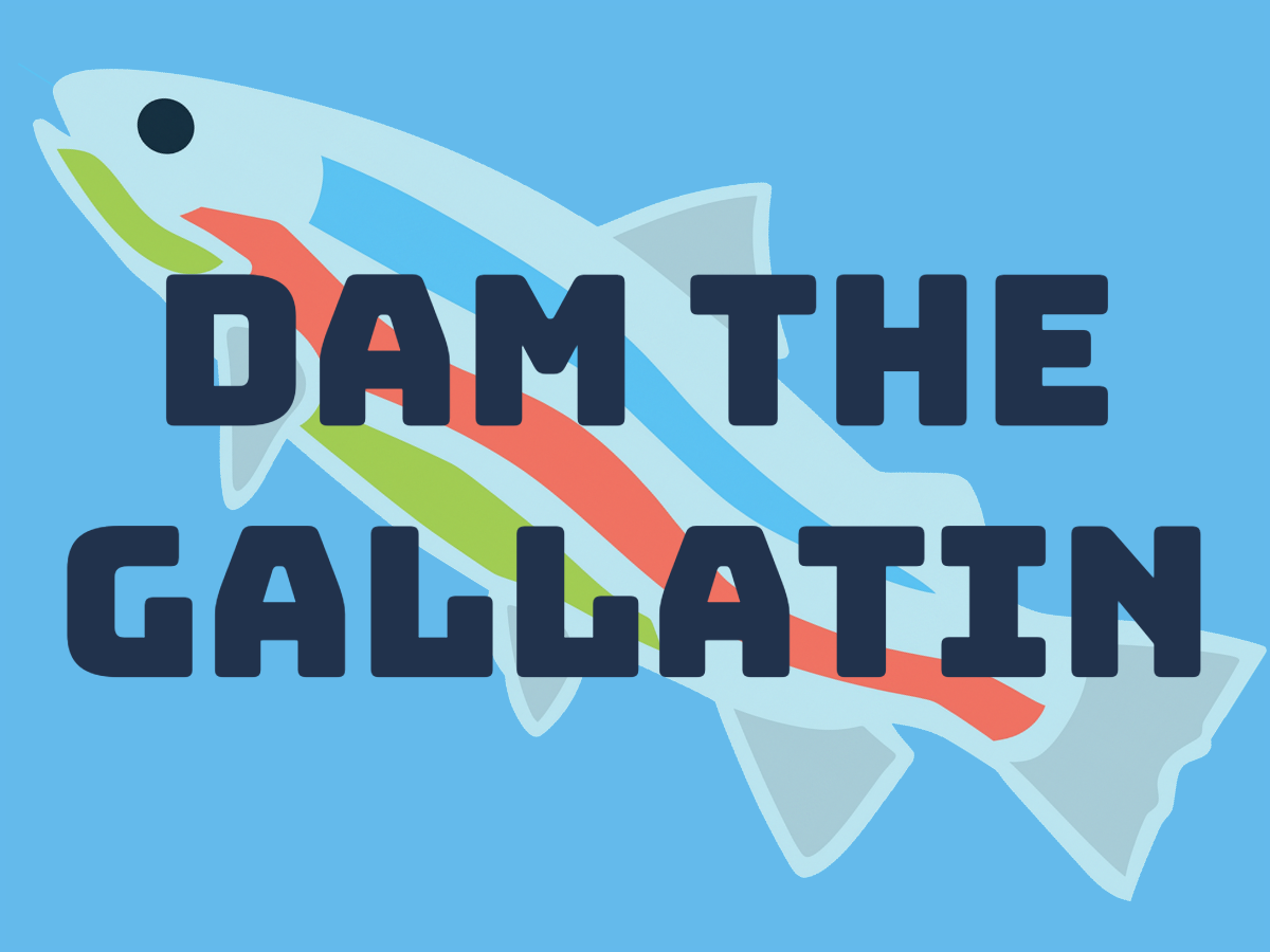 DAM THE GALLATIN